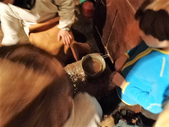 DSC02484